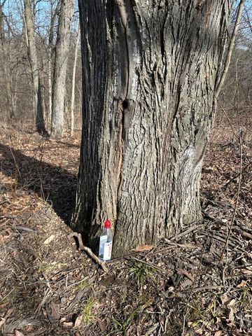 S1205 County Road Y, Wonewoc, WI 53968