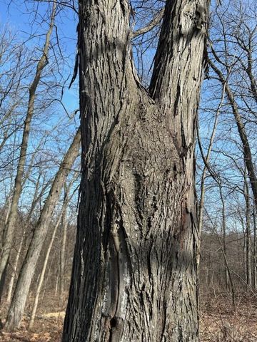 S1205 County Road Y, Wonewoc, WI 53968