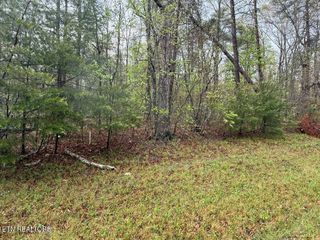 0 Mountain Ash Drive, Monterey, TN 38574