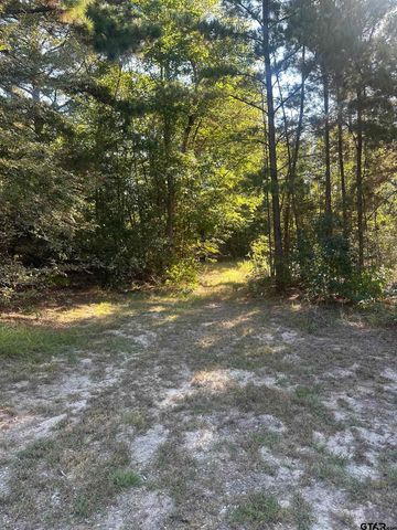 4108 CR 427, Tyler, TX 75704