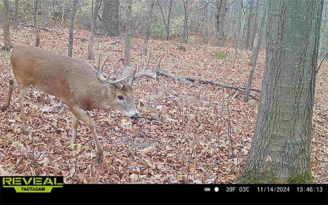 Rt-96, Farmington, NY 14425