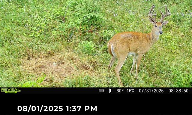 Rt-96, Farmington, NY 14425