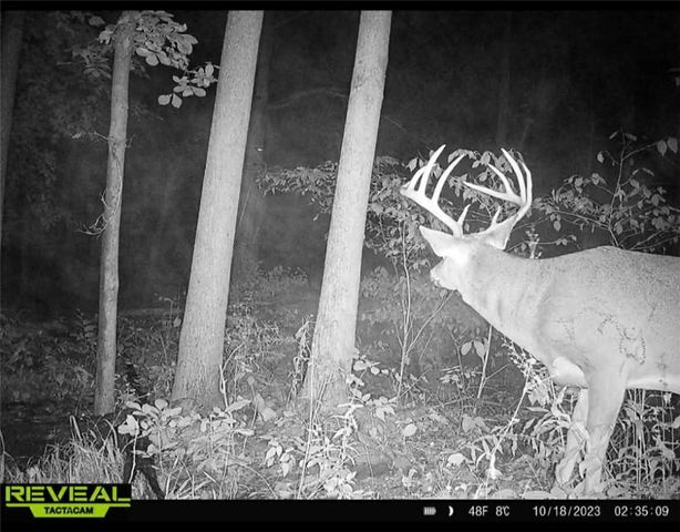 Rt-96, Farmington, NY 14425