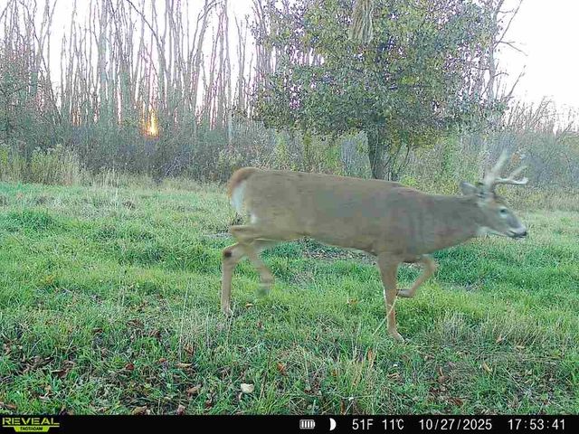 Rt-96, Farmington, NY 14425