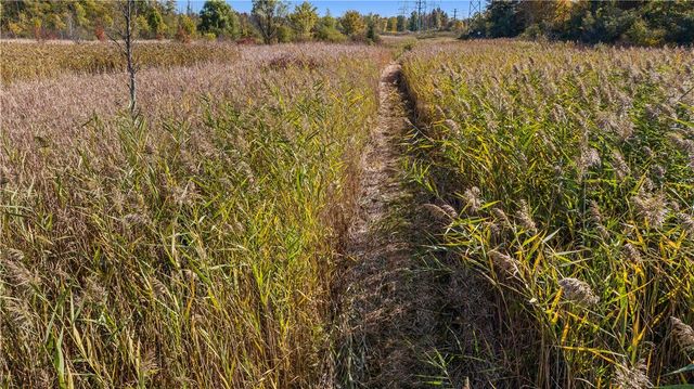 Rt-96, Farmington, NY 14425