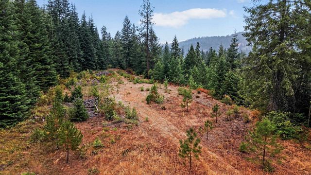 NKA Stanley Dr, Newport, WA 99156