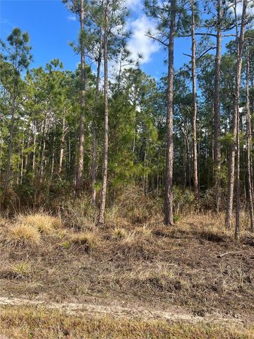 6660 BALBOA BOULEVARD, Sebring, FL 33872