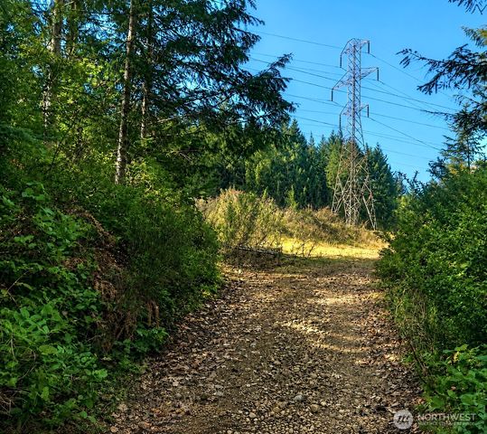 7611 N Triton Heights Road, Lilliwaup, WA 98555