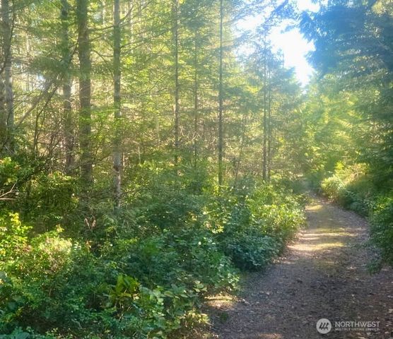 7611 N Triton Heights Road, Lilliwaup, WA 98555