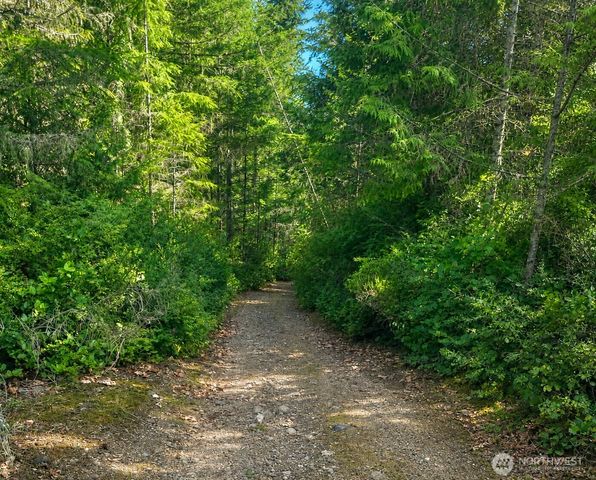 7611 N Triton Heights Road, Lilliwaup, WA 98555