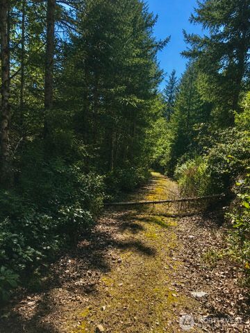 7611 N Triton Heights Road, Lilliwaup, WA 98555