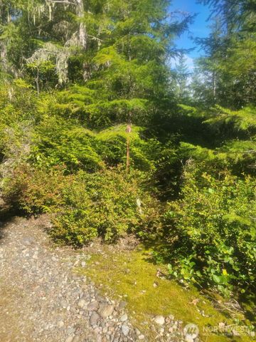 7611 N Triton Heights Road, Lilliwaup, WA 98555