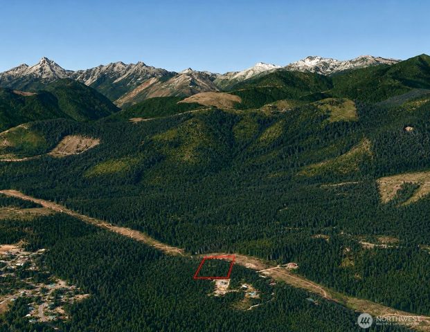7611 N Triton Heights Road, Lilliwaup, WA 98555