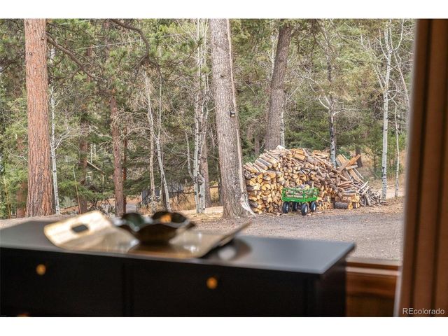 12159 Circle Dr, Conifer, CO 80433
