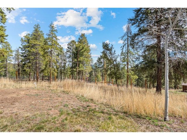 12159 Circle Dr, Conifer, CO 80433