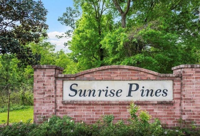 13514 Ryan Ridge Lane Lane, Houston, TX 77044