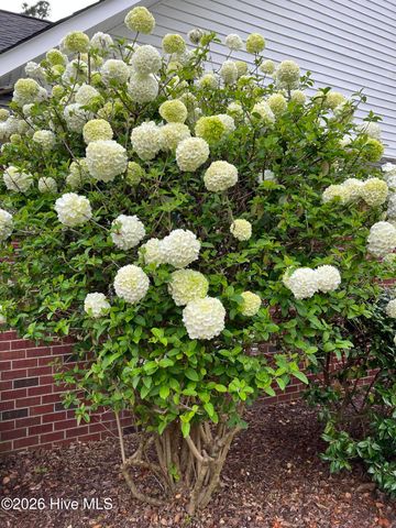 200 Greenwich Lane, Wilmington, NC 28409