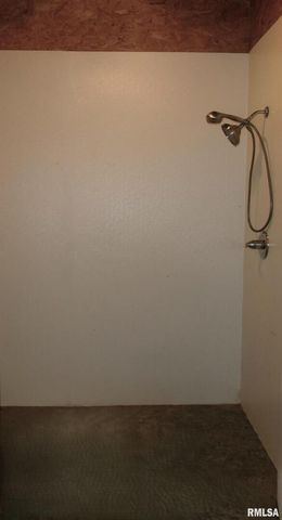 1292 CO Road 700 E Road, Carmi, IL 62821