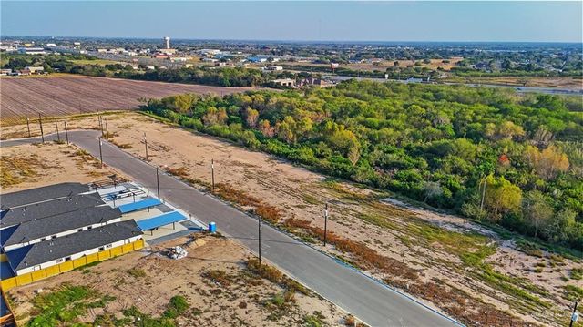 202 E Royal Palm Drive, Mercedes, TX 78570