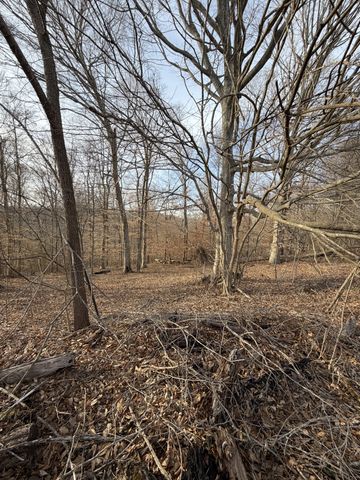 0 Macon Wall Rd, Ashland City, TN 37015