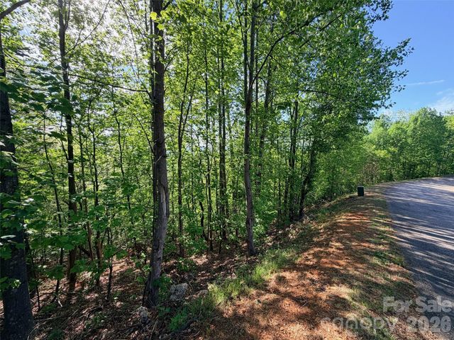 0 Bills Mountain Trail, Lake Lure, NC 28746