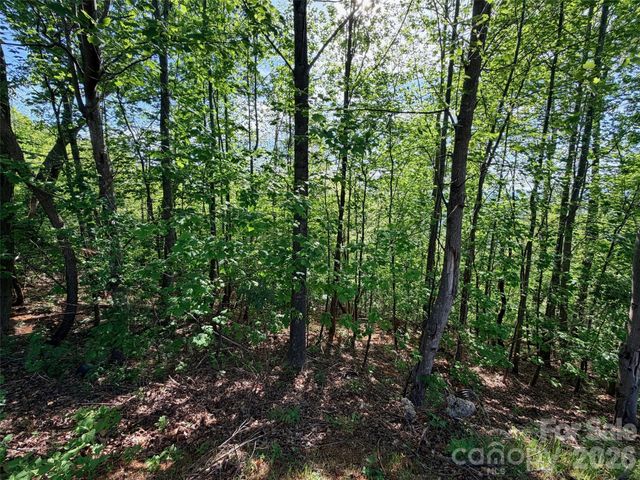 0 Bills Mountain Trail, Lake Lure, NC 28746