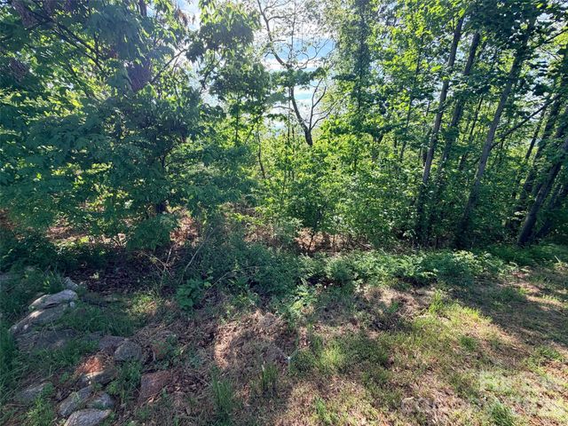 0 Bills Mountain Trail, Lake Lure, NC 28746