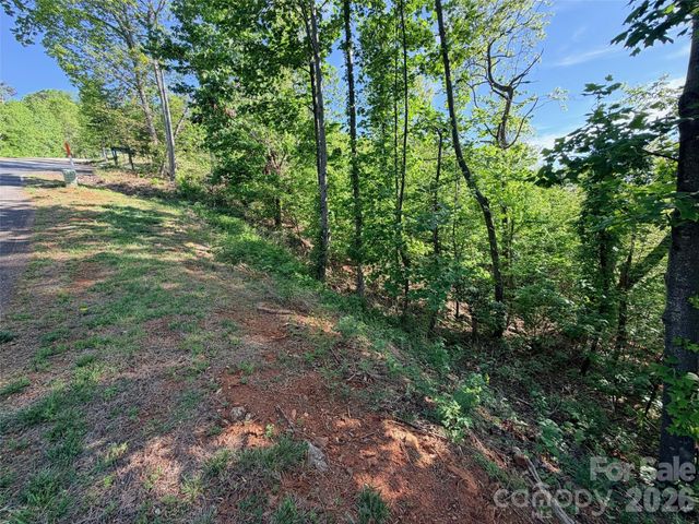 0 Bills Mountain Trail, Lake Lure, NC 28746