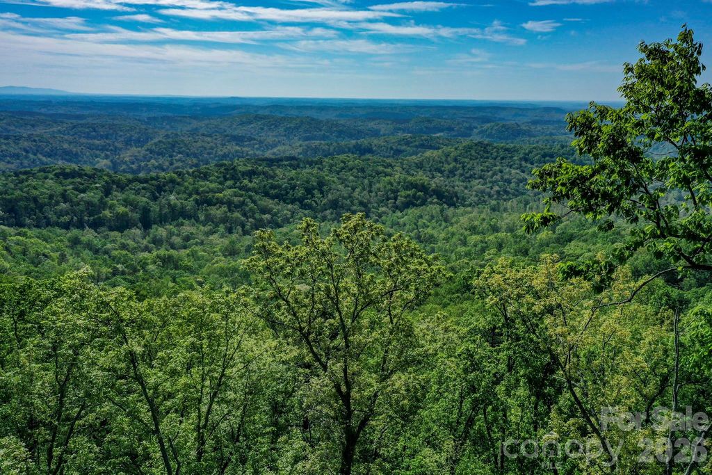 0 Bills Mountain Trail, Lake Lure, NC 28746