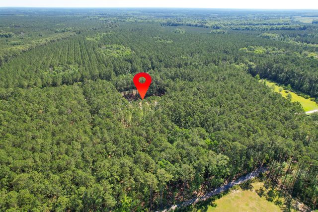 8144 Autumn Mist Lane, Adams Run, SC 29426
