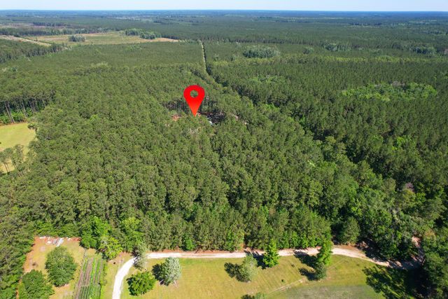 8144 Autumn Mist Lane, Adams Run, SC 29426