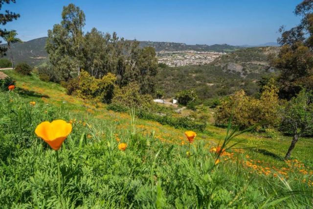 2702 Country Club Drive, Escondido, CA 92029