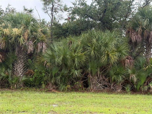 13241 APPLETON BOULEVARD, Port Charlotte, FL 33981