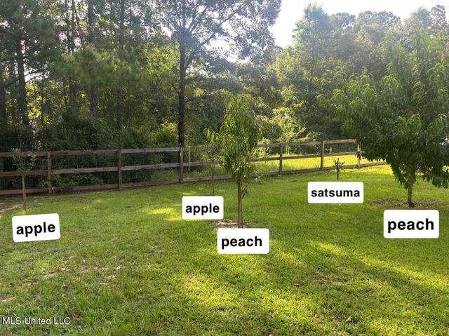 11 Olie Walker Road, Perkinston, MS 39573