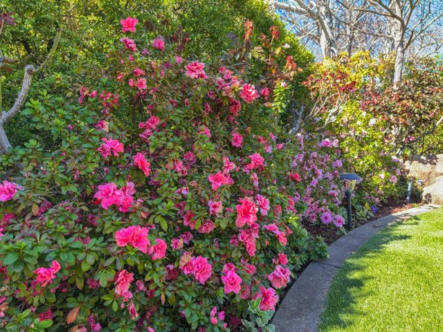 17981 Rose Court, Monte Sereno, CA 95030