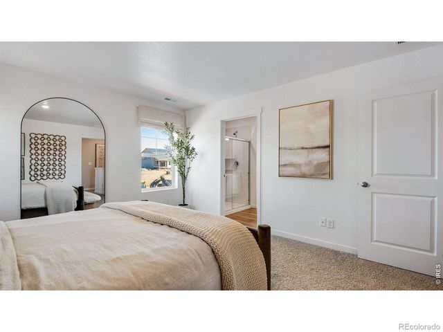 842 Trumpet Lane, Windsor, CO 80550