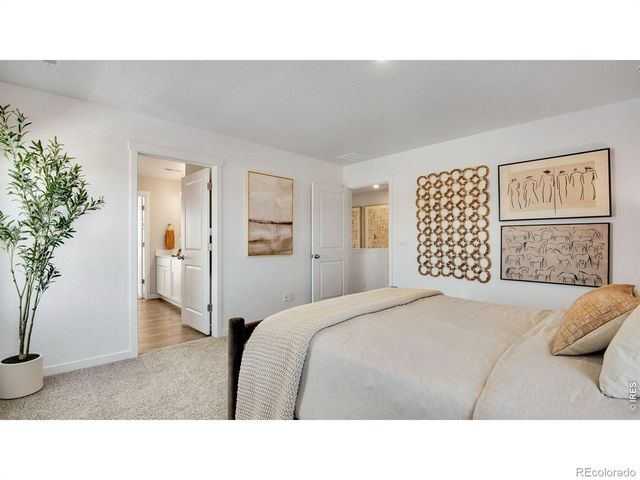 842 Trumpet Lane, Windsor, CO 80550