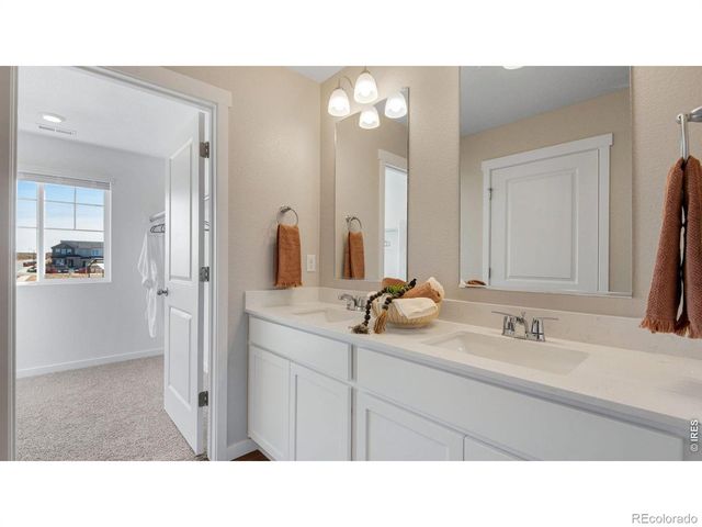 842 Trumpet Lane, Windsor, CO 80550