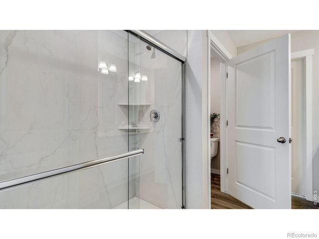842 Trumpet Lane, Windsor, CO 80550