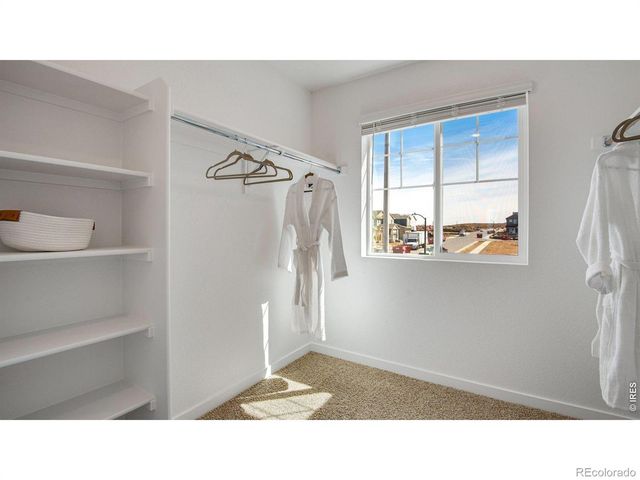 842 Trumpet Lane, Windsor, CO 80550