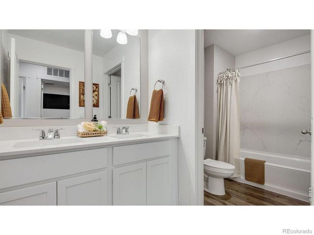 842 Trumpet Lane, Windsor, CO 80550