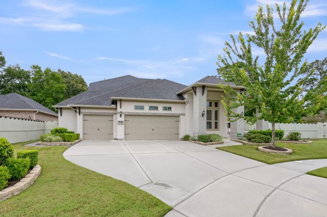 10402 Lake Palmetto Drive, Conroe, TX 77385