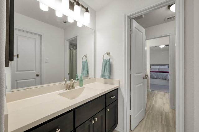 10402 Lake Palmetto Drive, Conroe, TX 77385