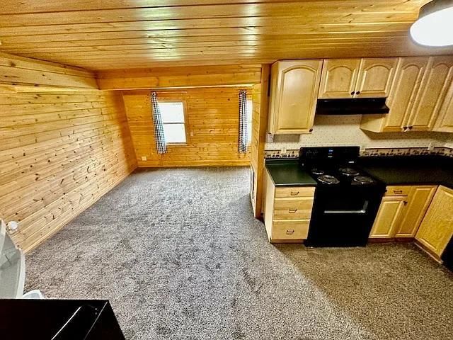 31336 & 31338 Rasmussen Road, Pequot Lakes, MN 56472