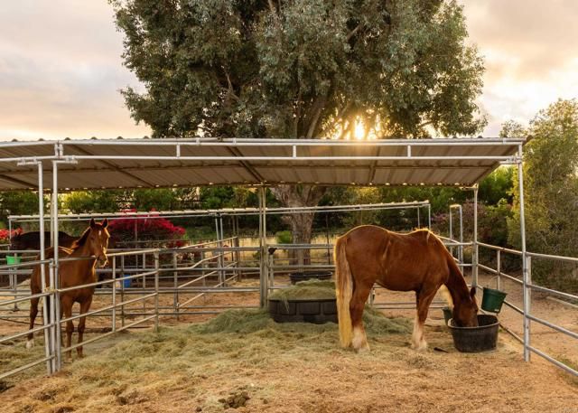 16761 Artesian Breeze Way, San Diego, CA 92127