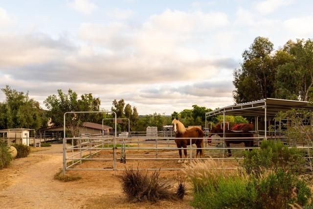 16761 Artesian Breeze Way, San Diego, CA 92127