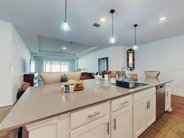 6084 CLAYSTONE WAY, Mount Dora, FL 32757