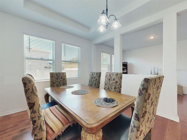 6084 CLAYSTONE WAY, Mount Dora, FL 32757