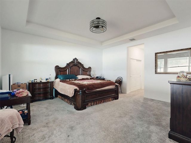 6084 CLAYSTONE WAY, Mount Dora, FL 32757