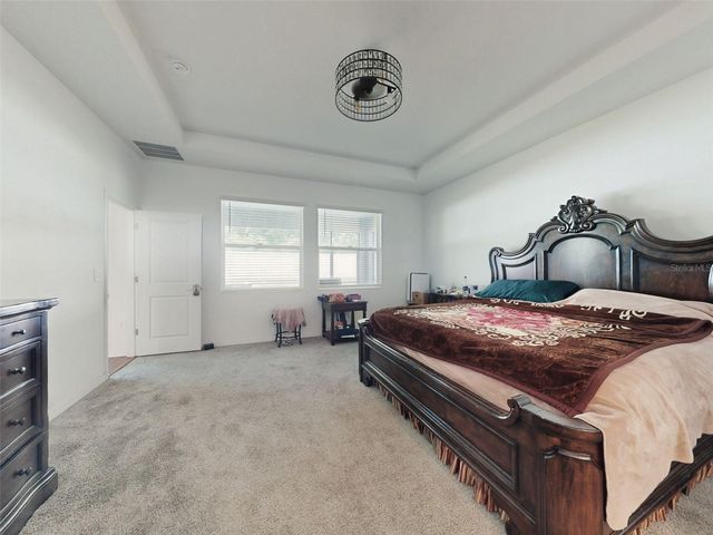 6084 CLAYSTONE WAY, Mount Dora, FL 32757